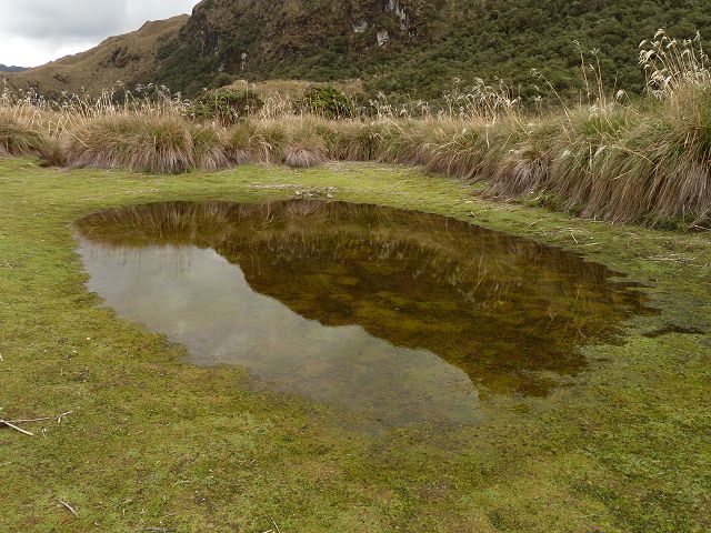 Wanderung Thermas Papallactahochtal Laguna de Papallacta Laguna Banos